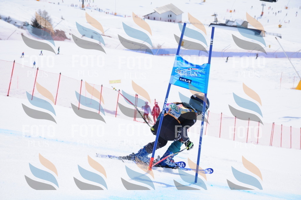 DSC_1421 | holidayphoto