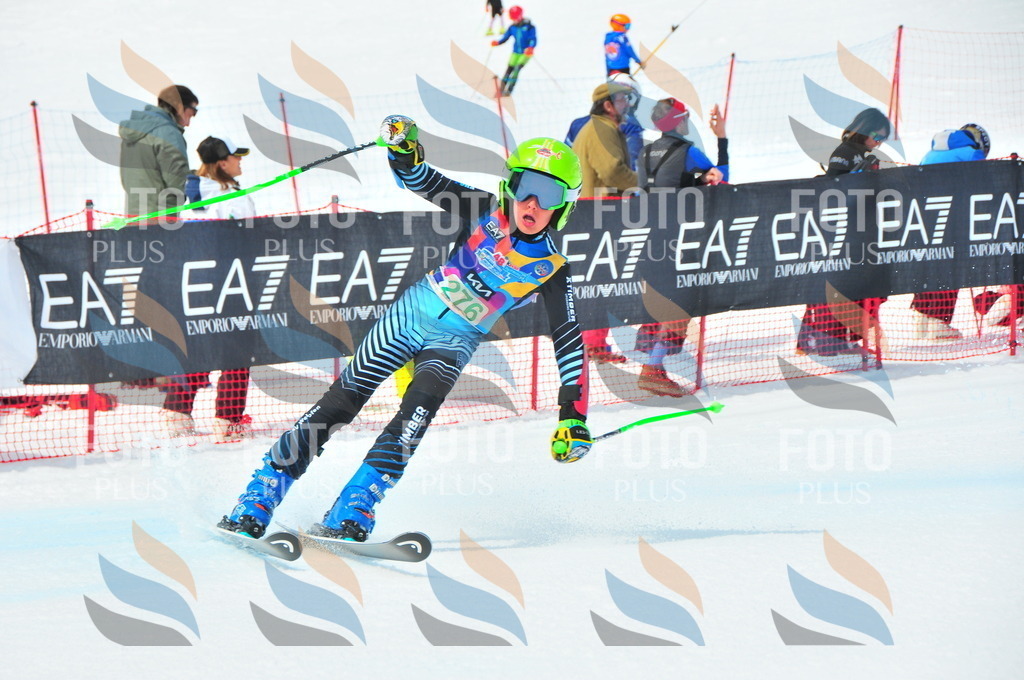 DSC_2570 | holidayphoto