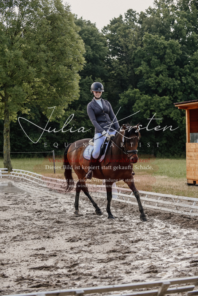 DSC_8302 | Pferde- und Turnierfotografie in Westsachsen. Pferdeportraits, Auftragszeichnungen und intuitive Kunst.