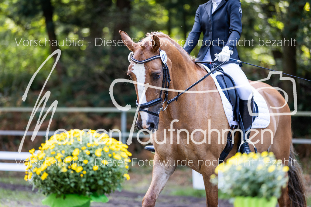 HB-Dressur-WB-106 | MomenTaufnahmen Pferdesportfotos