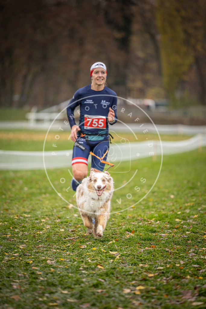 CaniXpix_DV3A9555 | Hundefotografie, Tierfotograf, Pfotenfotografie, Fotoshooting Hund, Hunde Portrait, Hundesport, Hundeportraits, Heideshooting, Hunde, Sportfotograf, Hundefotograf, Turnierhundsport, THS,  - Realisiert mit Pictrs.com