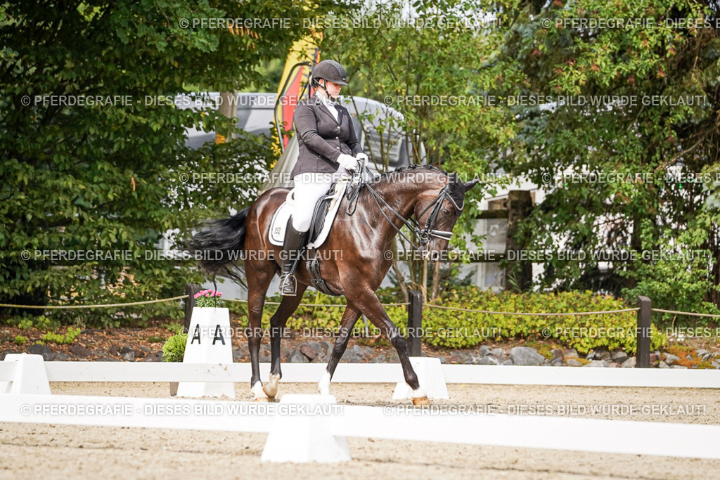 DSC05552 | Pferdegrafie