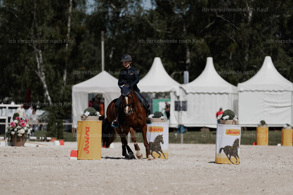 WE_ST_Stoib_342_PI2025_1419 | 330Pferd International München 2025