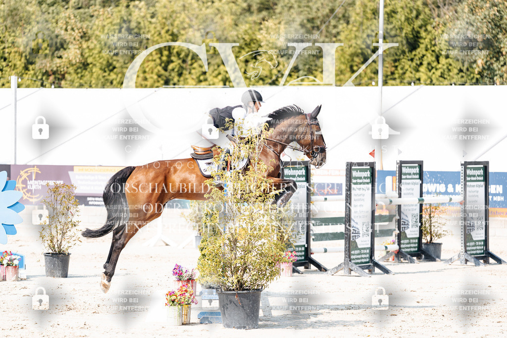 CK901777 | Turnierfotografie Pferdefotografie Trier Rheinland-Pfalz Pferdesport Reitsport Tierfotografie Sportfotografie Pferdevideo Pferdevideografie Equestrianvideography equestrianphotography  - Realisiert mit Pictrs.com