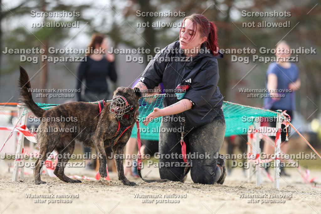 Dog Paparazzi - Strongdog North Mrz26-5325 | Dog Paparazzi Jeanette Grottendiek Fotografie & Videografie - Realisiert mit Pictrs.com