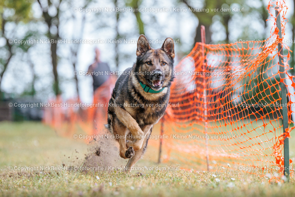 Sage Hunderennen Frühlingsfest-2026-Nickbest-Hundefotografie-0200 | Dein Hund! Dein Moment! Deine Erinnerungen! Hundefotografie in Bremen Blumenthal. Ich fange die besonderen Momente deines Vierbeiners ein – ob Indoor mit Blitzanlage oder in der freien Natur. Sicher dir dein Moment und dein Termin für eure Erinnerungen.