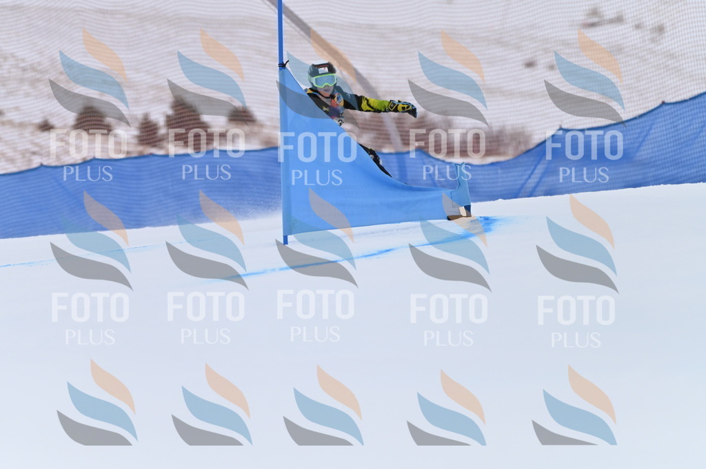 BGV_5568 | holidayphoto