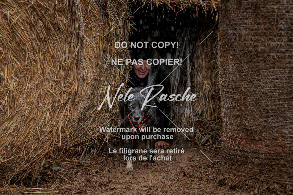 nelerasche_Hunsrück_So12-13_132 | nelerasche