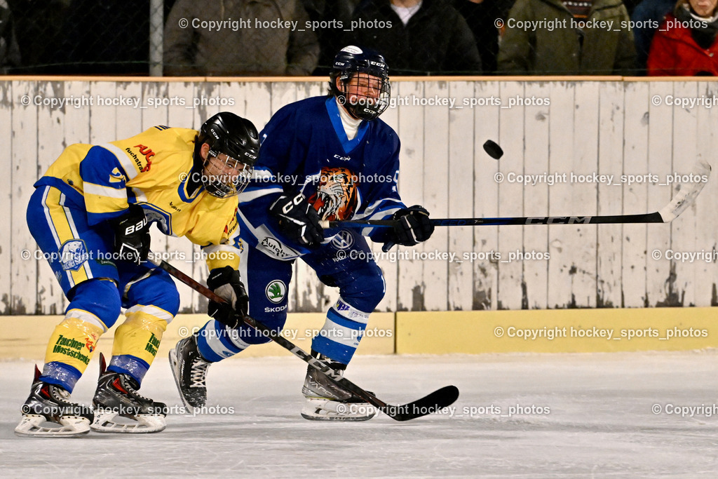 ELV Zauchen vs. EC Tigers Paternion  | #29 Wohlfahrt Philipp ELV Zauchen, #9 Gratzer Julian EC Tigers Paternion, ELV Zauchen vs. EC Tigers Paternion , ELV Zauchen vs. EC Tigers Paternion  am 02.01.2025 in Eisoval Zauchen (Stadthalle Villach), Austria, (Photo by Bernd Stefan)