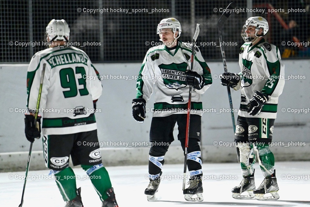 EC Ice Tigers Paternion vs. DSG Ledenitzen Faakersee 14.1.2024 | Jubel DSG Ledenitzen Mannschaft