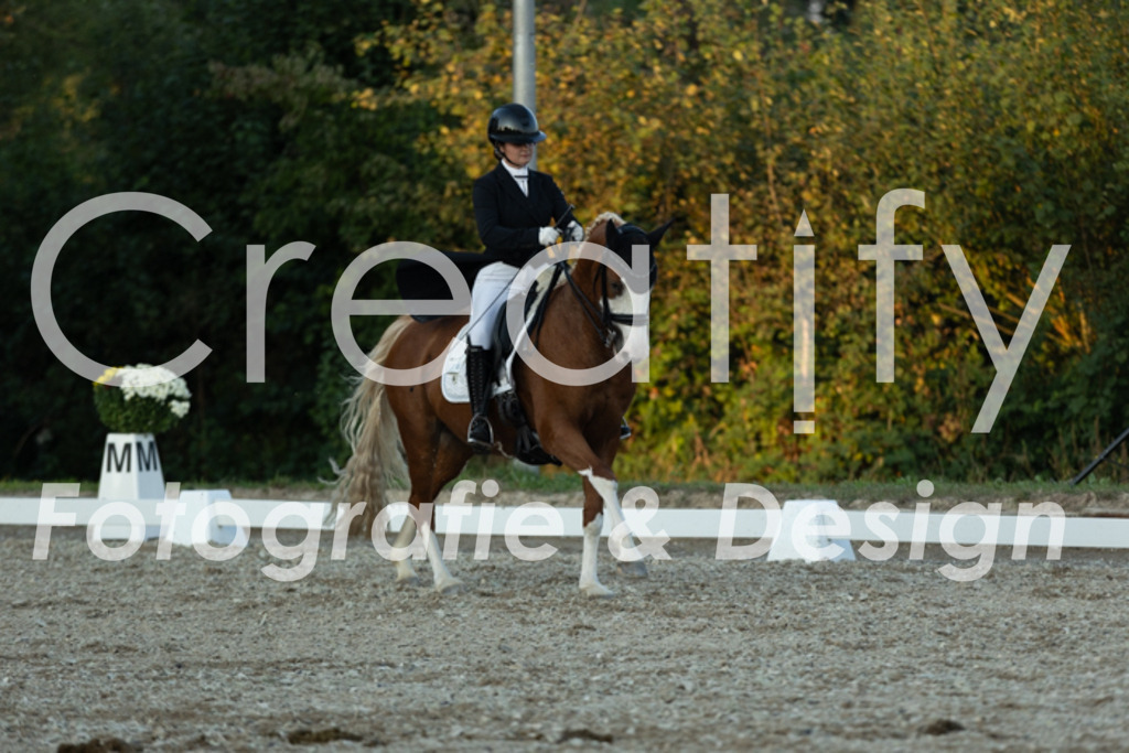 IMG_7604 | Creatify Fotografie