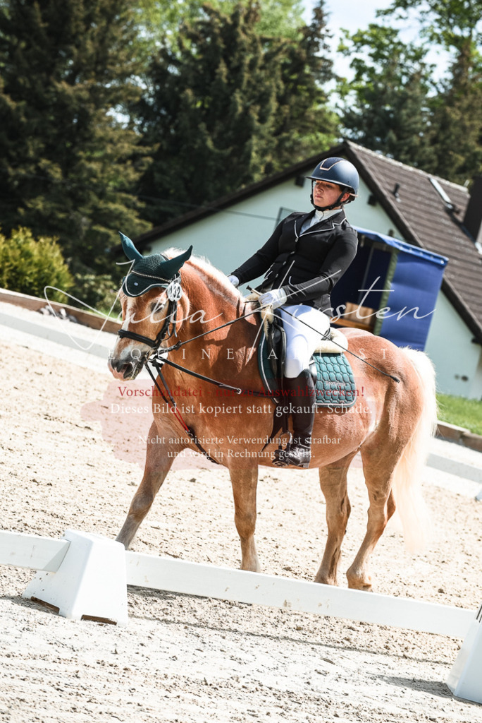 20230518_JK-Röhrsdorf-11-0543 | Pferde- und Turnierfotografie in Westsachsen. Pferdeportraits, Auftragszeichnungen und intuitive Kunst.