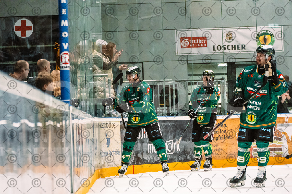 Alligators_vs_Selb_13_09_2026-57 | Die Fotogalerie von Daddel: professionelle Bilder von Sport, Events und Unternehmen aus Franken. Jetzt Galerien durchstöbern und Lieblingsfotos bestellen. - Realisiert mit Pictrs.com