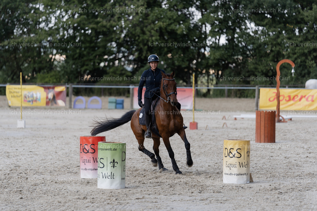 WS_SP_24_SinaFilmArt_IN08909 | working equitationturnier fotograf videograf stoibphotography marixx film working equitation deutschland reitsport turnierfotografie eventfotografie equestrian events