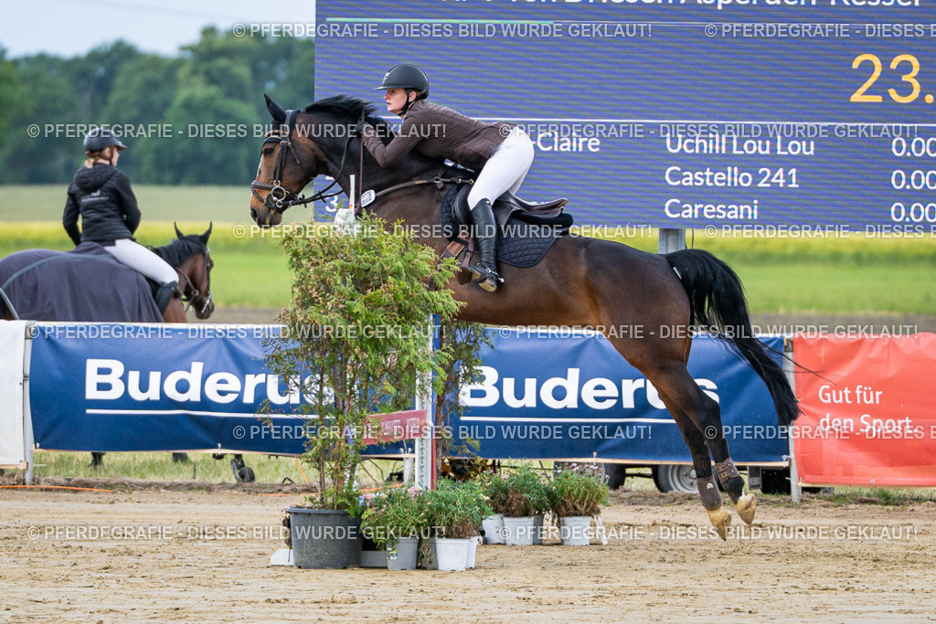 DSC03448 | Pferdegrafie