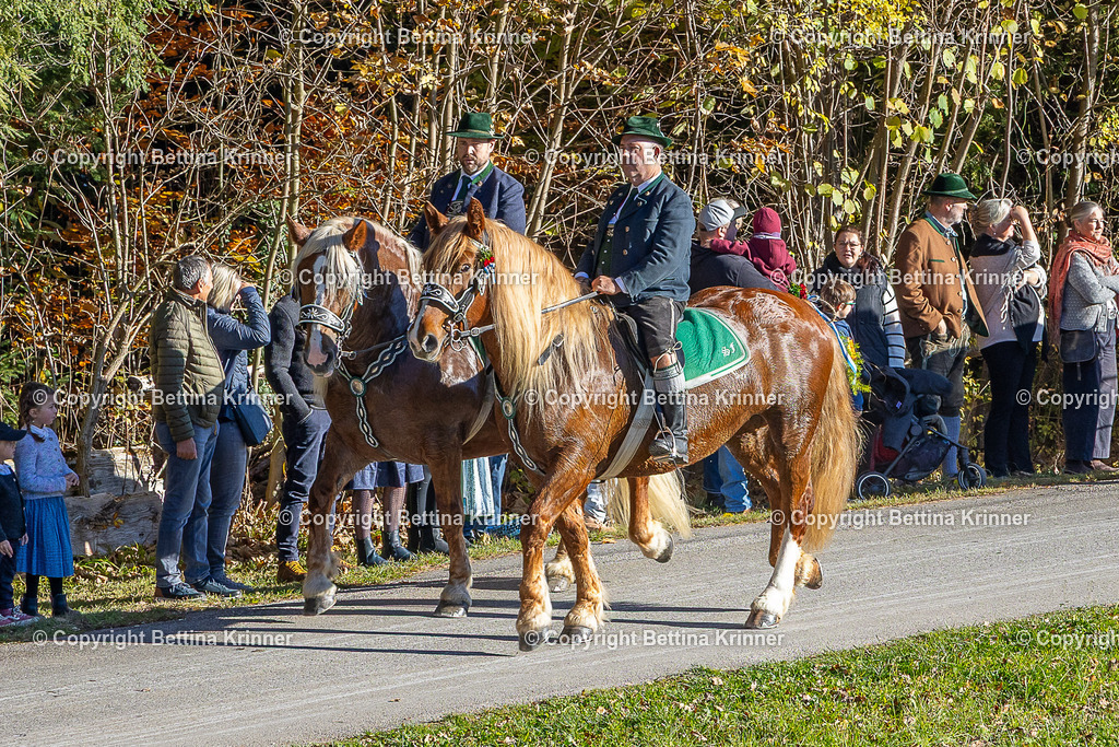 LBT25-138 | foto-bettina-krinner - Realisiert mit Pictrs.com