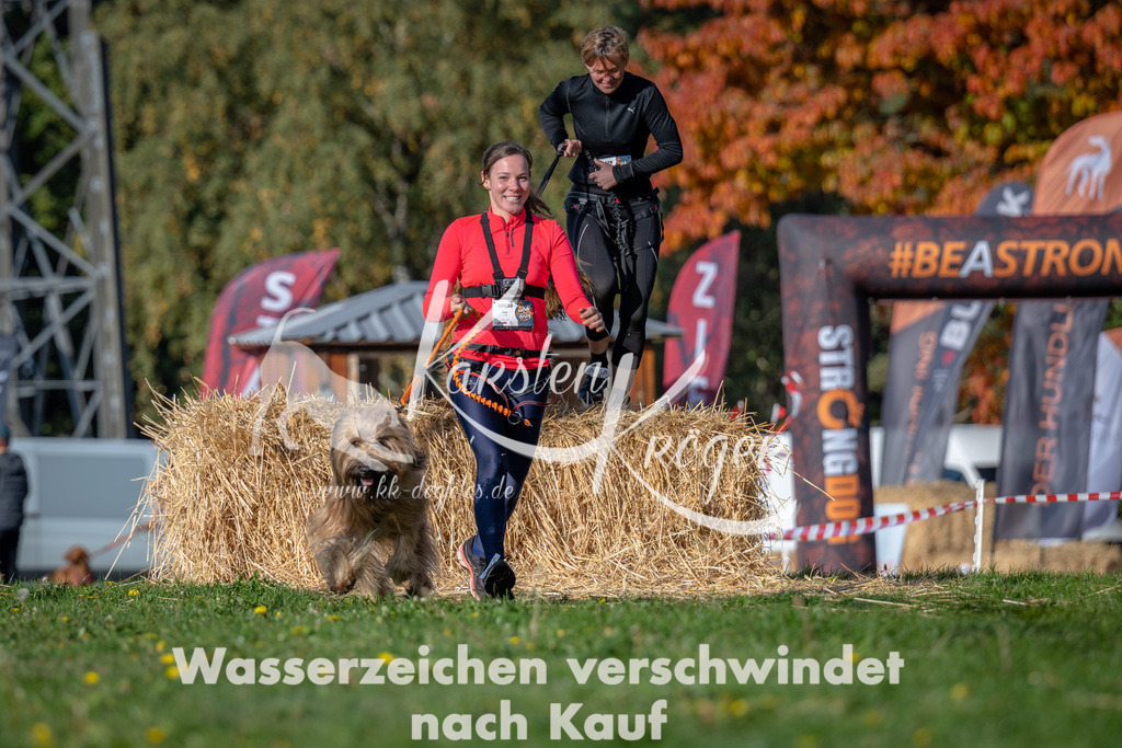 1025_ZZ90162 | kk-dogfotos