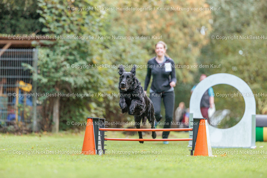 THS-HSV-Blumenthal-2026-Nickbest-Hundefotografie-1655 | Dein Hund! Dein Moment! Deine Erinnerungen! Hundefotografie in Bremen Blumenthal. Ich fange die besonderen Momente deines Vierbeiners ein – ob Indoor mit Blitzanlage oder in der freien Natur. Sicher dir dein Moment und dein Termin für eure Erinnerungen.