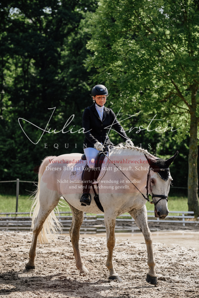 DSC_0416 | Pferde- und Turnierfotografie in Westsachsen. Pferdeportraits, Auftragszeichnungen und intuitive Kunst.