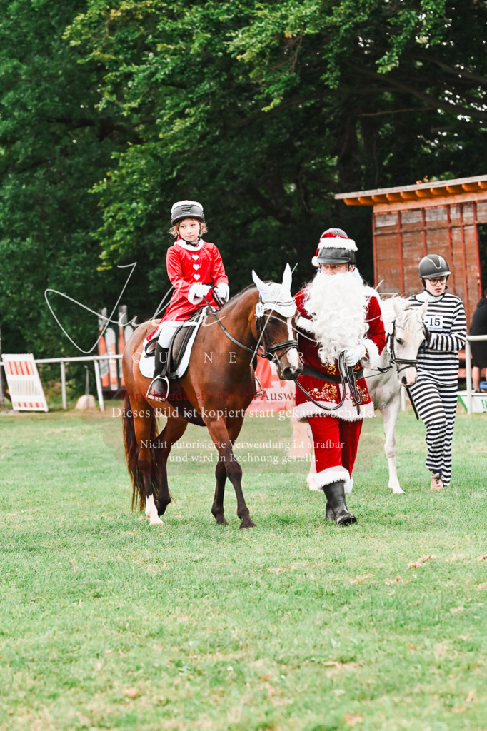DSC_7572 | Pferde- und Turnierfotografie in Westsachsen. Pferdeportraits, Auftragszeichnungen und intuitive Kunst.