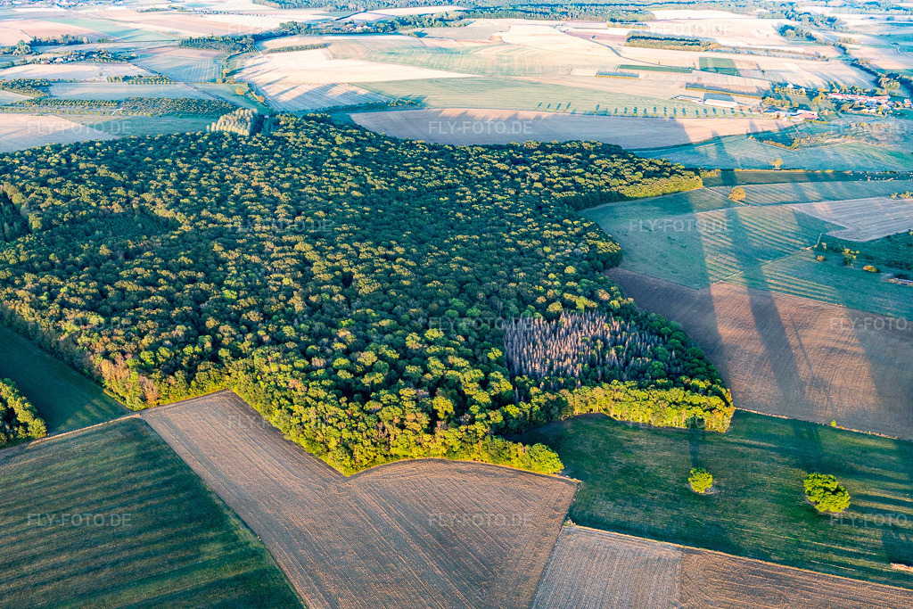 Luftbild: Forets in Chaouilley im Bundesland Meurthe-et-Moselle in Frankreich. Foto: IMG_117955.jpg vom 14.09.2019 durch Werner Riehm/FLY-FOTO.de
