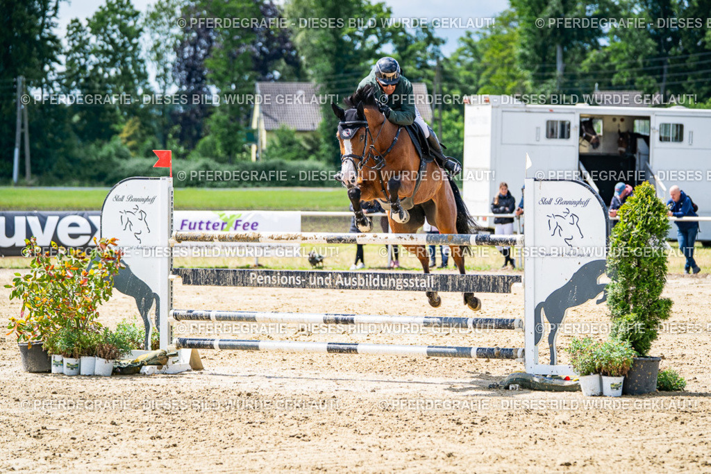 DSC04995 | Pferdegrafie