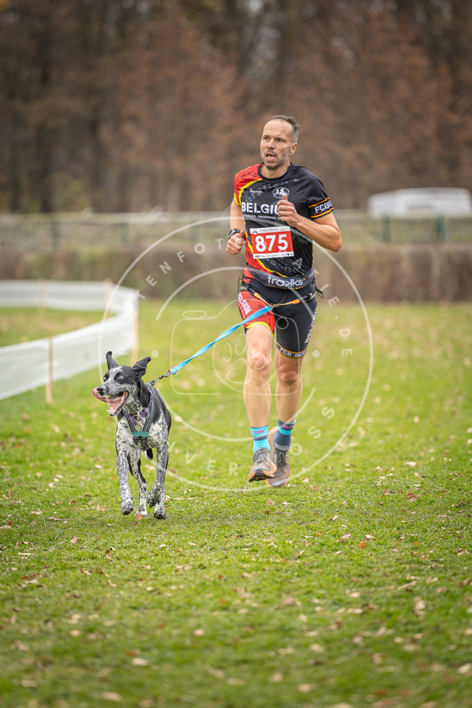 CaniXpix_DV3A6747 | Hundefotografie, Tierfotograf, Pfotenfotografie, Fotoshooting Hund, Hunde Portrait, Hundesport, Hundeportraits, Heideshooting, Hunde, Sportfotograf, Hundefotograf, Turnierhundsport, THS,  - Realisiert mit Pictrs.com