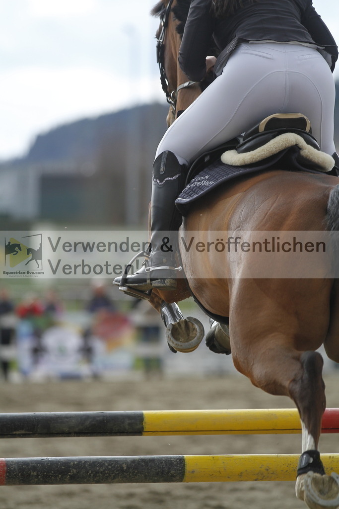 _MG_8388 | equestrian-live-com