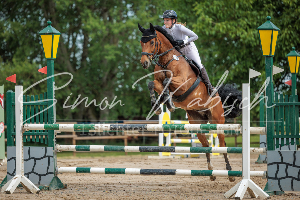 20260530-_3LI2492 | Tierfotografie Pferde, Hunde, Katzen, Haustiere.
Turnierfotografie Reitturniere, Reiten, Springreiten, Dressur in Hanau, dem Main-Kinzig-Kreis und dem Rhein-Main- Gebiet um Frankfurt