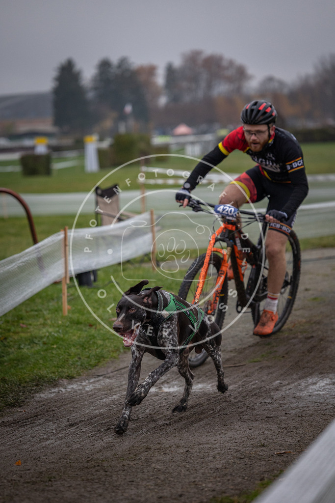 CaniXpix_0L8A1619 | Hundefotografie, Tierfotograf, Pfotenfotografie, Fotoshooting Hund, Hunde Portrait, Hundesport, Hundeportraits, Heideshooting, Hunde, Sportfotograf, Hundefotograf, Turnierhundsport, THS,  - Realisiert mit Pictrs.com
