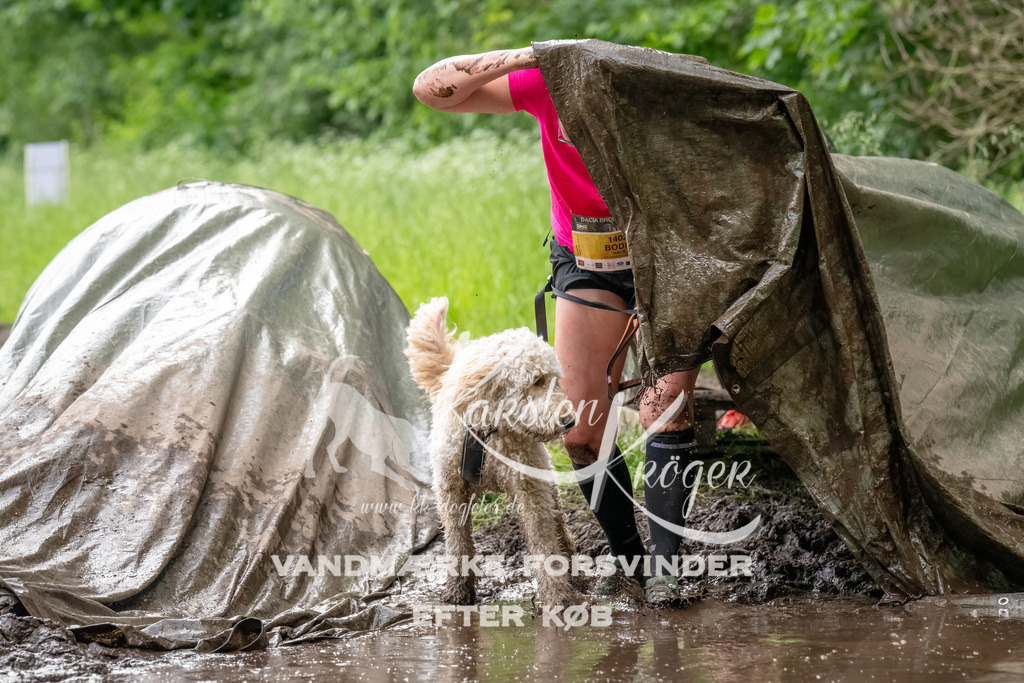 1511_ZZ92135-Bearbeitet | kk-dogfotos