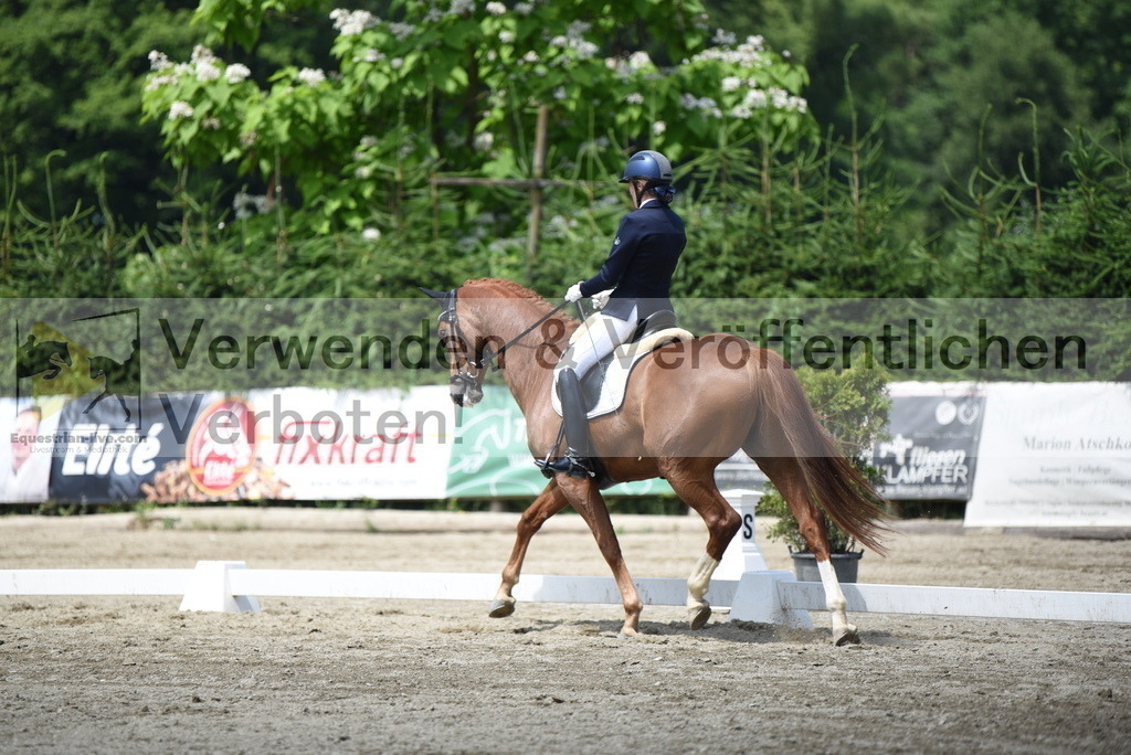 DSC_9312 | equestrian-live-com