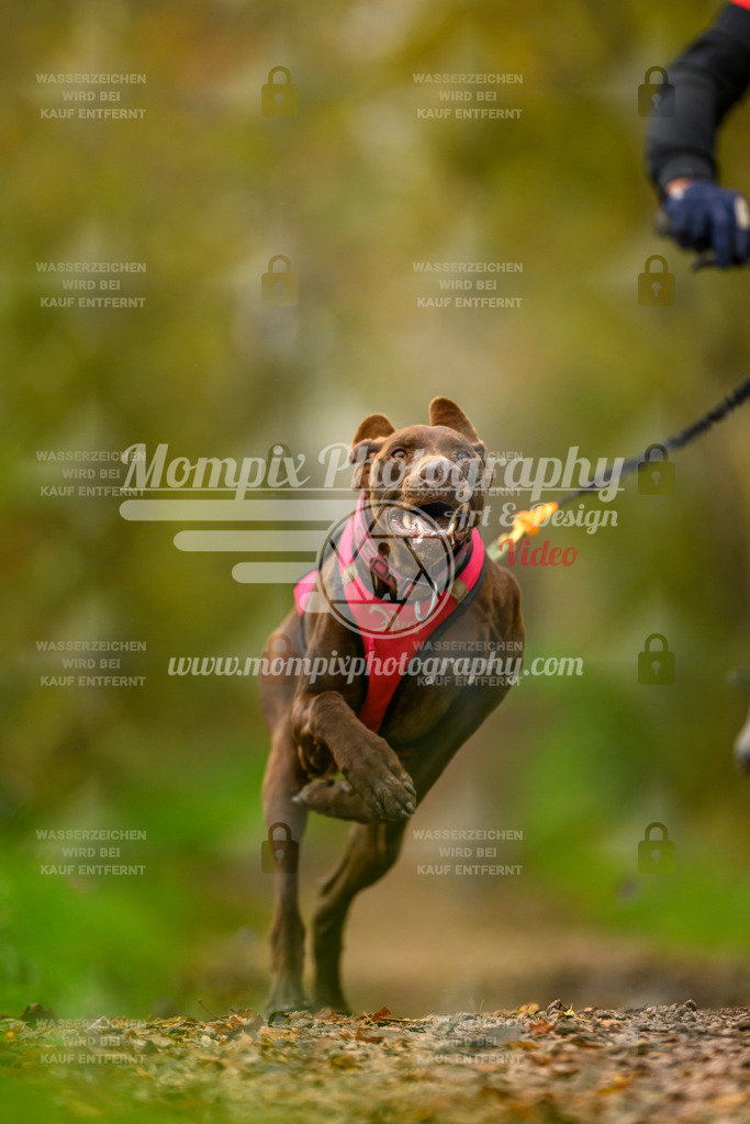 MompixPhotography_20TSB_E6_Bike-40 | PayLife