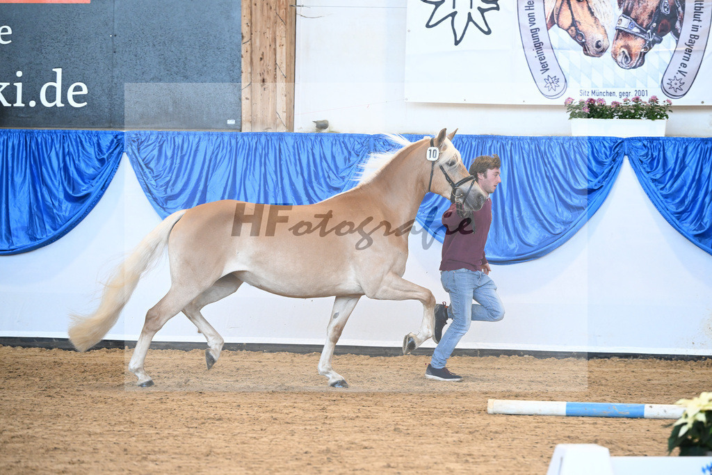 Bl. Band Kat-Nr. 10 Naila v. Bugatti_Schuetz_48241148 | hf-fotografie - Realisiert mit Pictrs.com