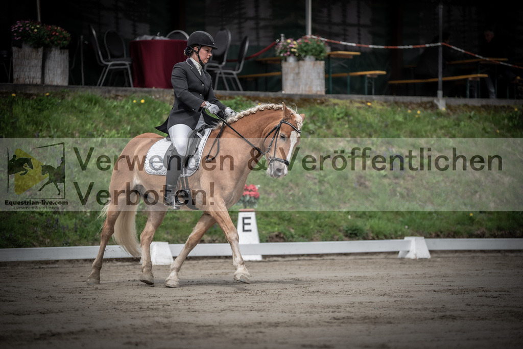 DSC_9211 | equestrian-live-com