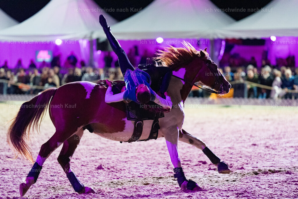 Gala-588 | working equitationturnier fotograf videograf stoibphotography marixx film working equitation deutschland reitsport turnierfotografie eventfotografie equestrian events