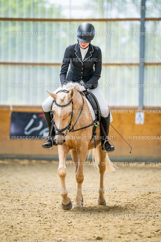 DSC04494 | Pferdegrafie