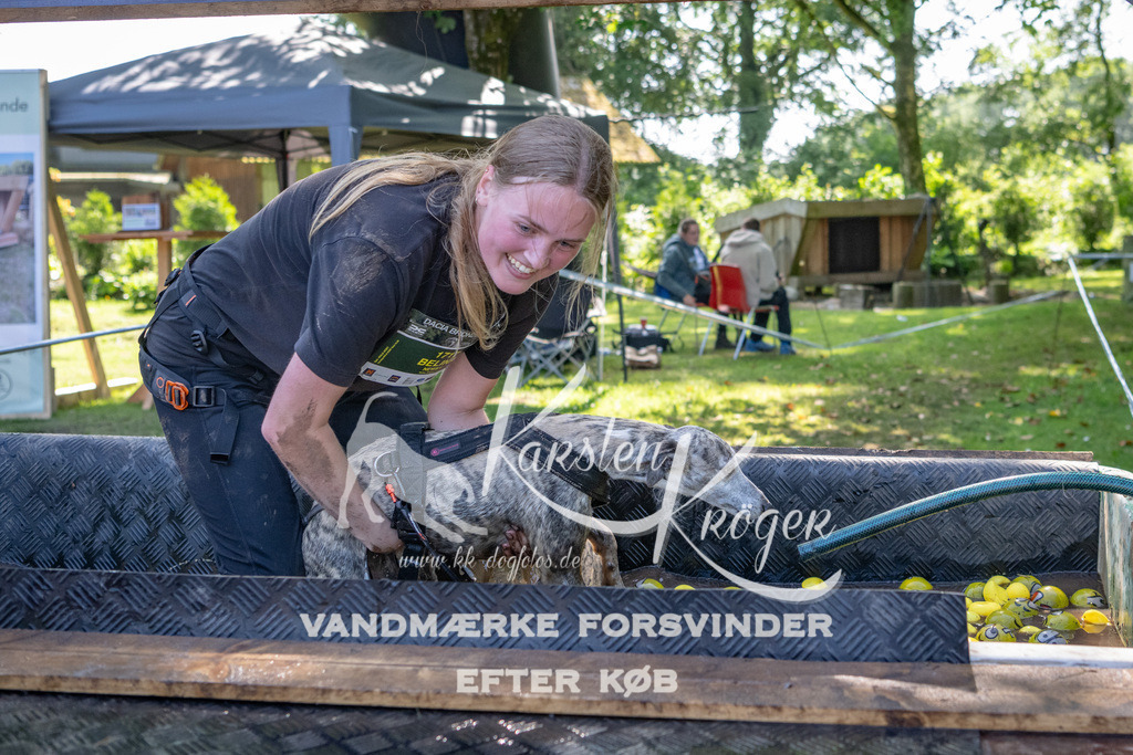 1501_ZZ94664 | kk-dogfotos