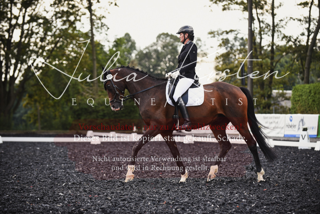 DSC_4029 | Pferde- und Turnierfotografie in Westsachsen. Pferdeportraits, Auftragszeichnungen und intuitive Kunst.