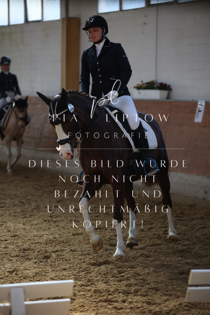 IMGT6661 | pl-fotografie