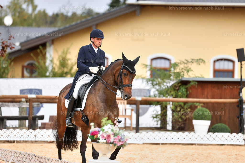11-226-Dressur S___-StoibPH-1016 | working equitationturnier fotograf videograf stoibphotography marixx film working equitation deutschland reitsport turnierfotografie eventfotografie equestrian events