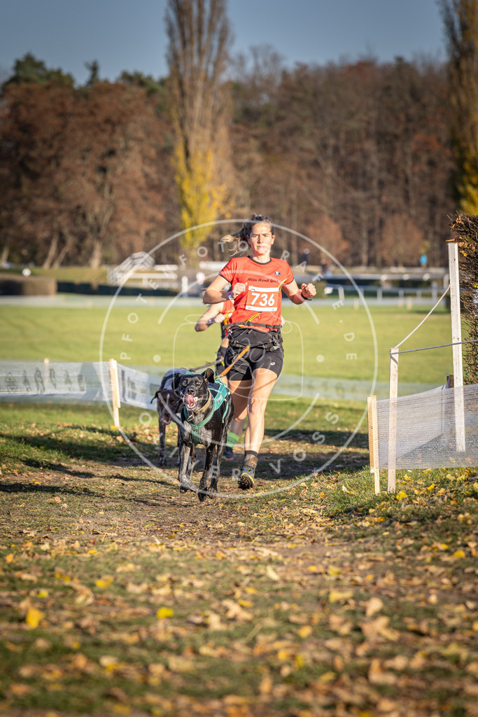 CaniXpix_DV3A2137 | Hundefotografie, Tierfotograf, Pfotenfotografie, Fotoshooting Hund, Hunde Portrait, Hundesport, Hundeportraits, Heideshooting, Hunde, Sportfotograf, Hundefotograf, Turnierhundsport, THS,  - Realisiert mit Pictrs.com