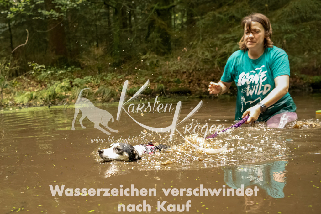 1210_ZZ92929-Bearbeitet | kk-dogfotos