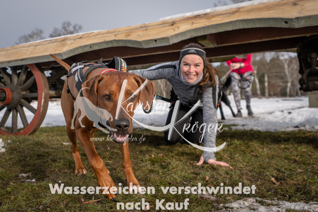 0854_ZZ93099-3 | kk-dogfotos