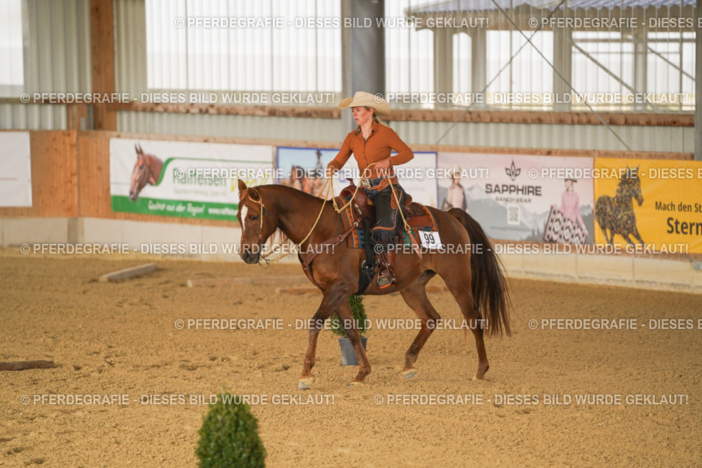 DSC01116 | Pferdegrafie