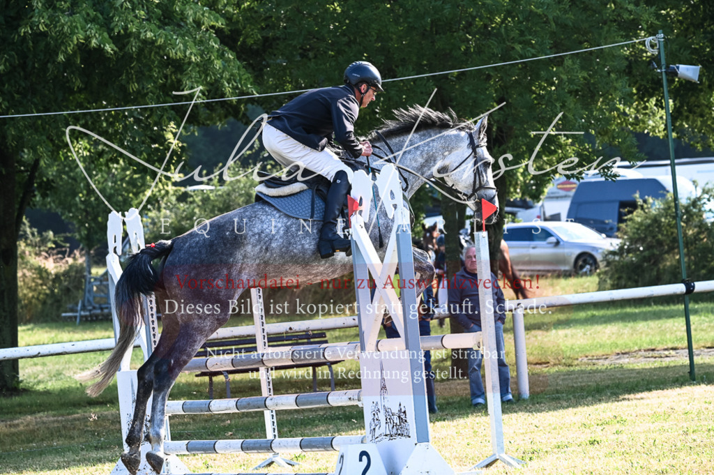 DSC_7494 | Pferde- und Turnierfotografie in Westsachsen. Pferdeportraits, Auftragszeichnungen und intuitive Kunst.