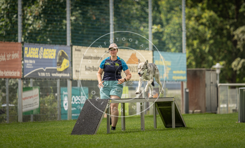 Pfotenfotografie_DV3A3269 | Hundefotografie, Tierfotograf, Pfotenfotografie, Fotoshooting Hund, Hunde Portrait, Hundesport, Hundeportraits, Heideshooting, Hunde, Sportfotograf, Hundefotograf, Turnierhundsport, THS,  - Realisiert mit Pictrs.com
