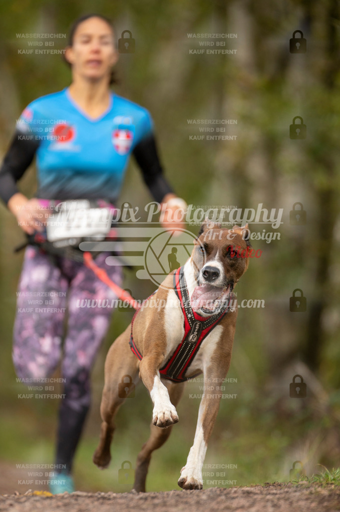 TSB_2023_E4_Canicross-29 | PayLife