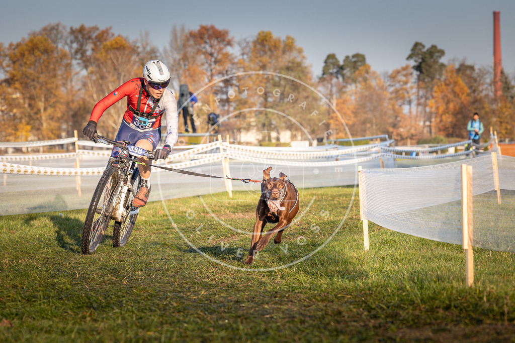 CaniXpix_0L8A3816 | Hundefotografie, Tierfotograf, Pfotenfotografie, Fotoshooting Hund, Hunde Portrait, Hundesport, Hundeportraits, Heideshooting, Hunde, Sportfotograf, Hundefotograf, Turnierhundsport, THS,  - Realisiert mit Pictrs.com