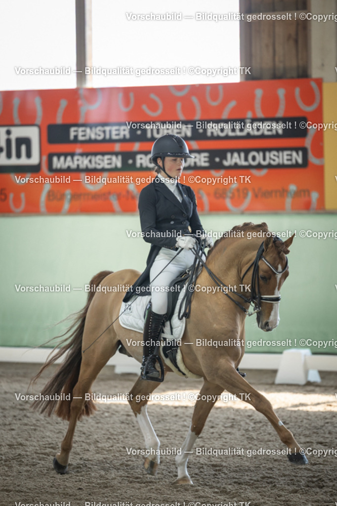 _D5A9449 | Emotionale Pferde- & People-Fotografie rund um Heidelberg, Leimen & Umgebung. Natürliche Fotos von Pferd, Mensch & Familie. Jetzt Termin sichern!